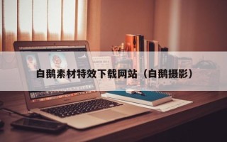 上杭白鹅素材特效下载网站（白鹅摄影）